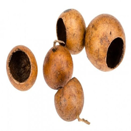 KUCHIPAL PODS