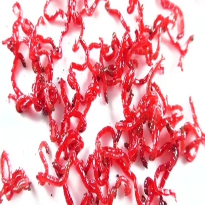 RED MOSQUITO LARVAE / BLOODWORMS 45ml