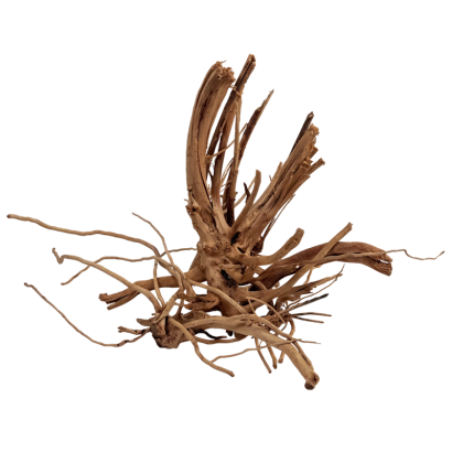 SPIDER WOOD 20 - 30 cms