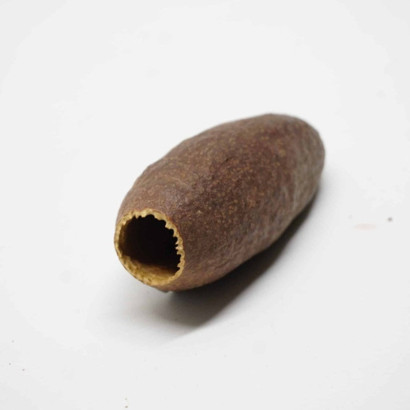 FRUIT JECETIBA