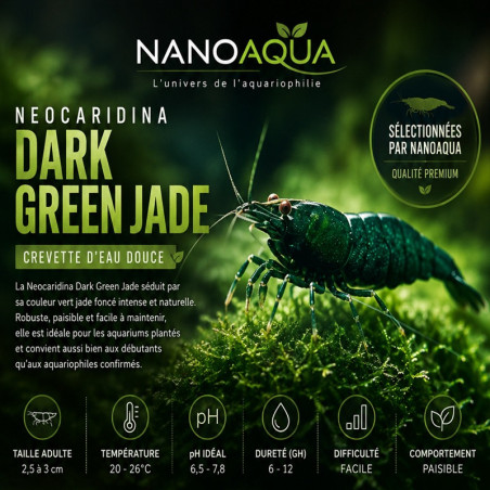 NEOCARIDINA DAVIDI DARK GREEN JADE