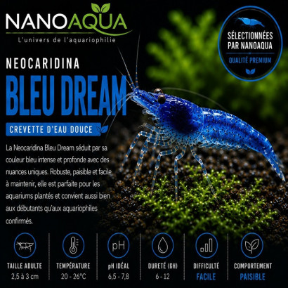 NEOCARIDIN BLEU DREAM