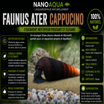 FAUNUS ATER CAPPUCCINO