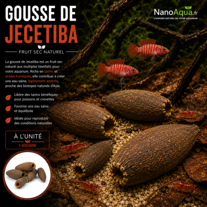 FRUIT JECETIBA / GOUSSE JECETIBA