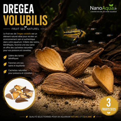 3 DREGEA PODS