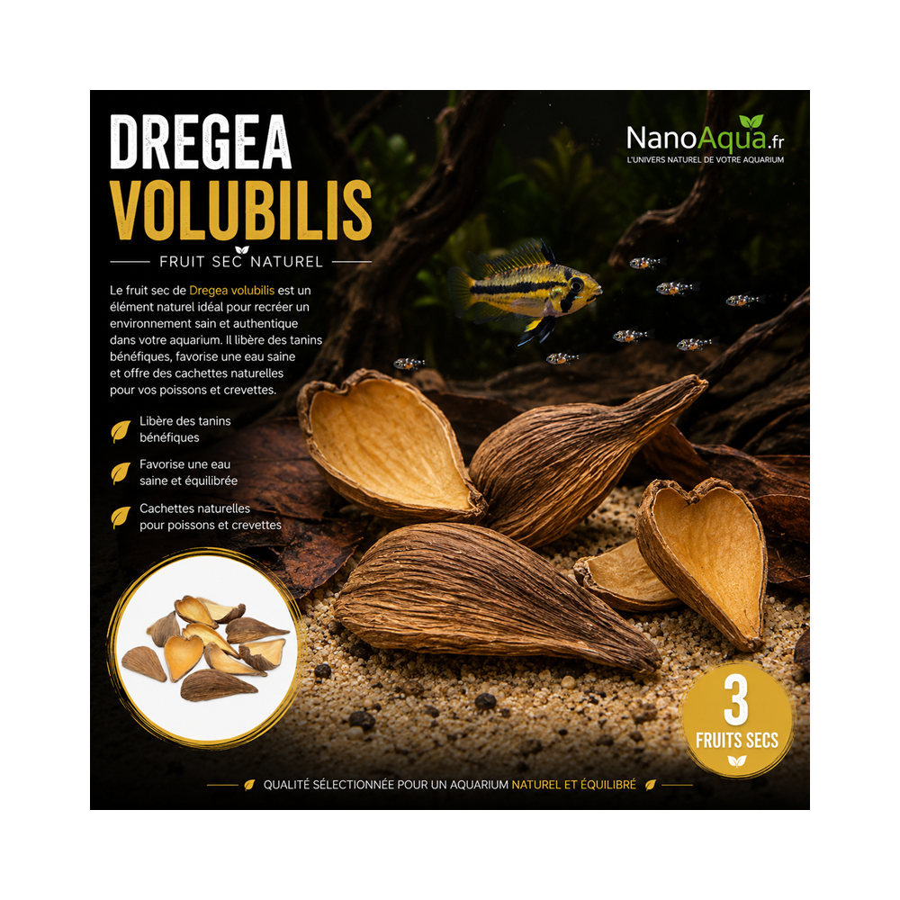 3 DREGEA PODS