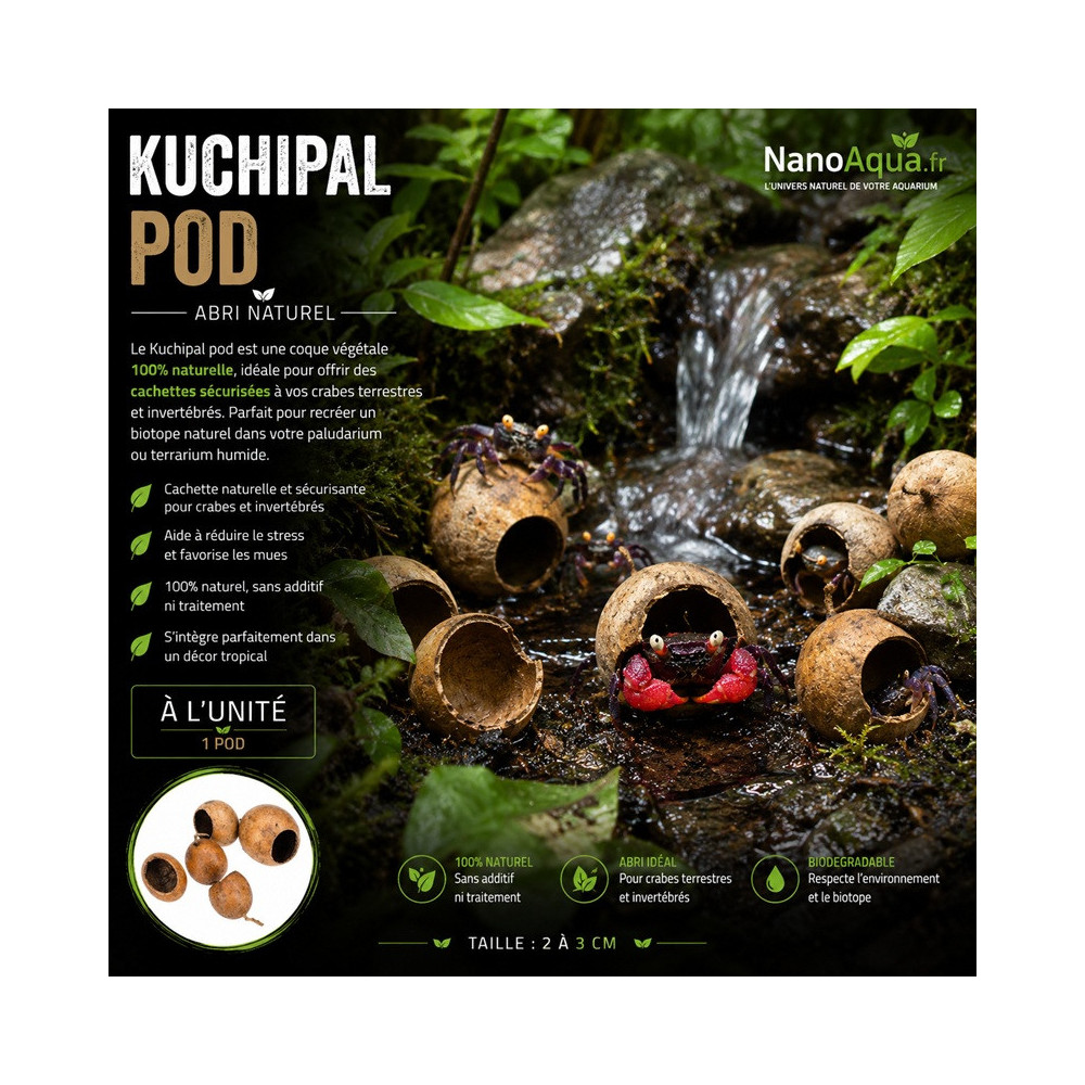GOUSSSE DE KOUCHIPAL / KUCHIPA PODS