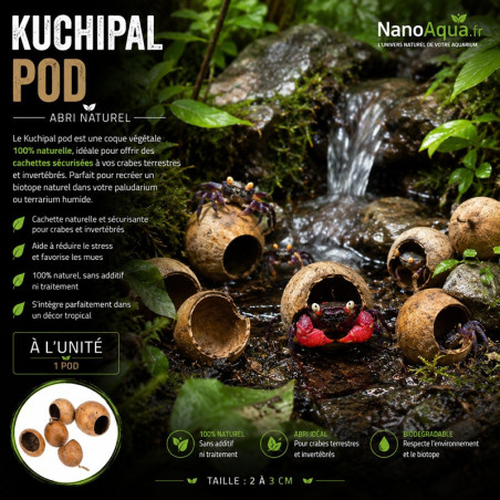 GOUSSSE DE KOUCHIPAL / KUCHIPA PODS