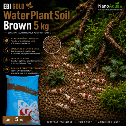 EBI GOLD WATERPLANT SOIL BROWN  5KG