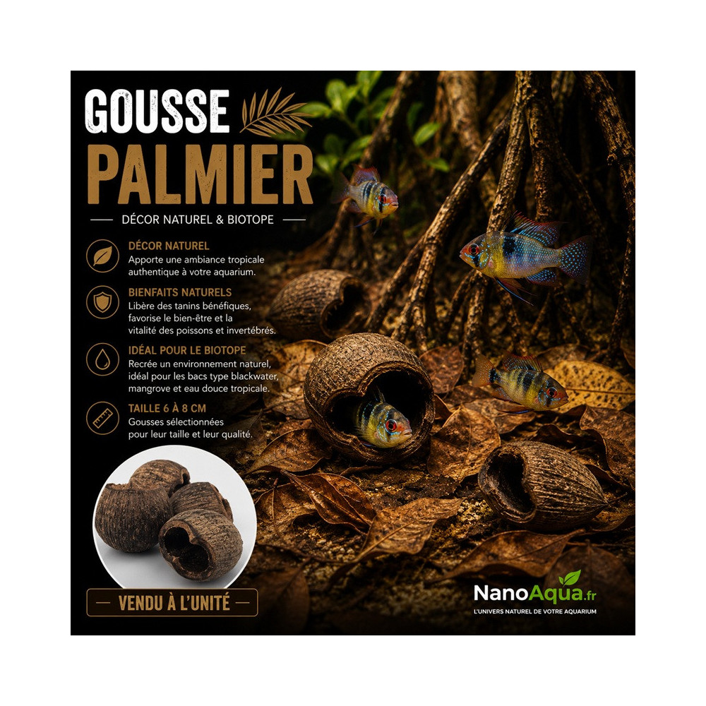 GOUSSE PALMIER / PALM PODS