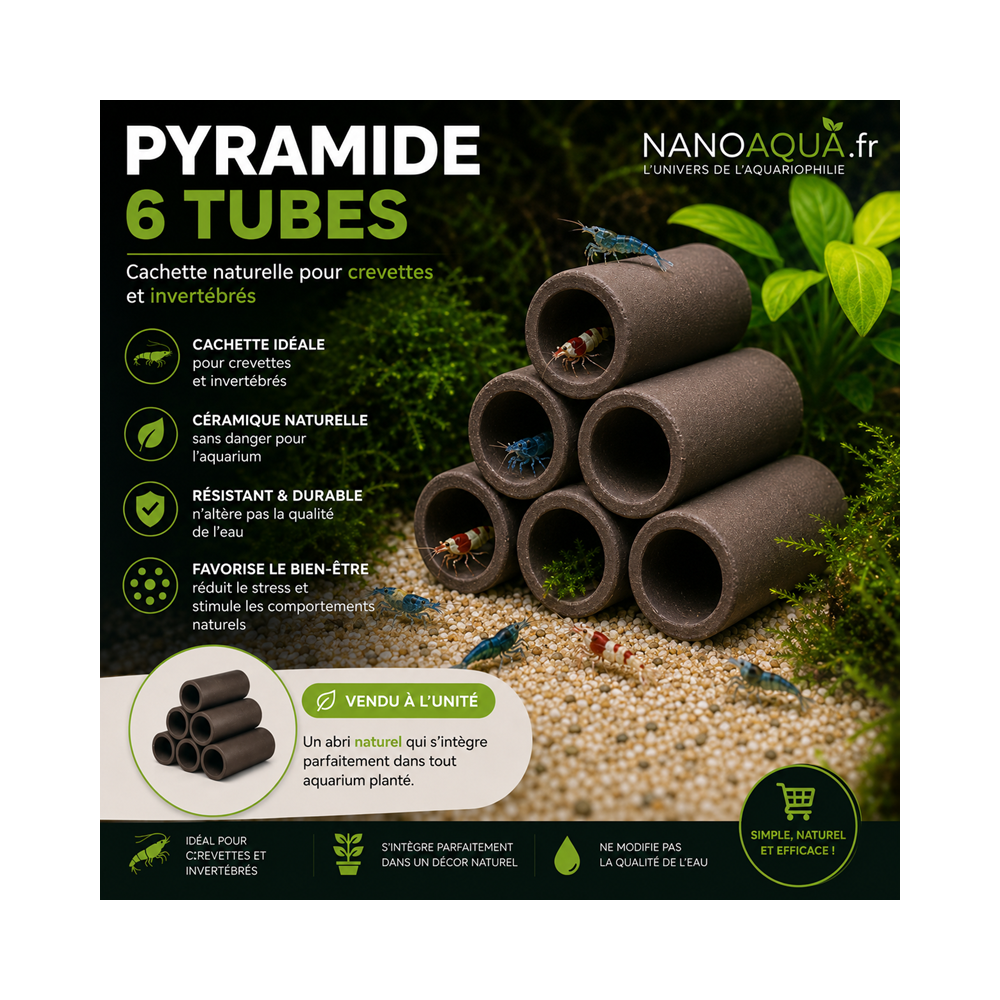 PYRAMIDE 6 TUBES