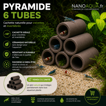 PYRAMIDE 6 TUBES