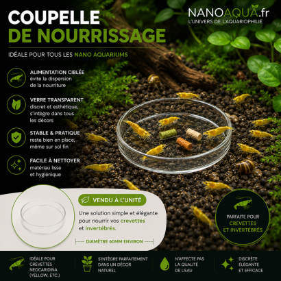 PETITE COUPELLE NOURRISSAGE