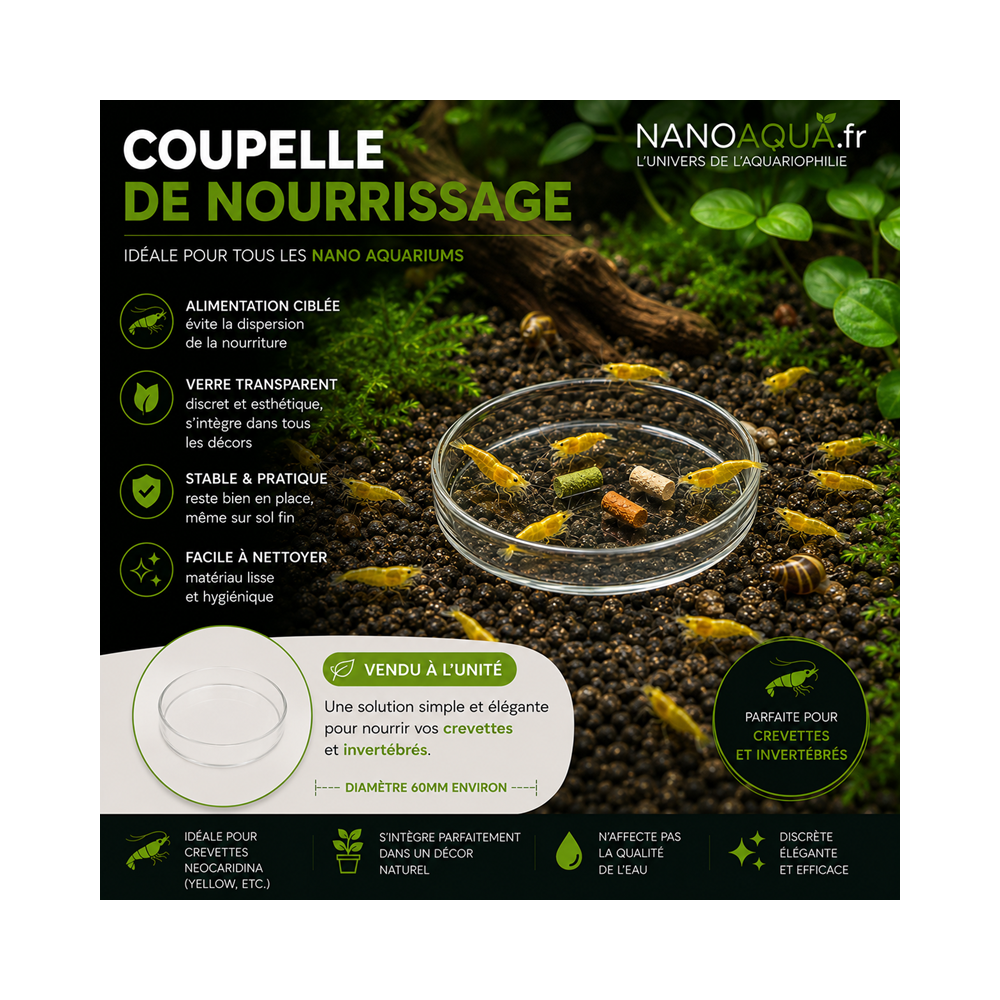PETITE COUPELLE NOURRISSAGE
