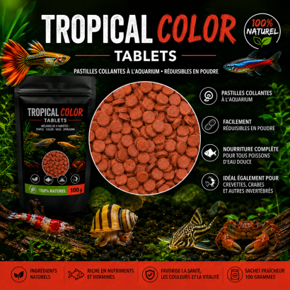 TROPICAL COLOR TABLETS