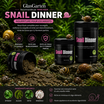 GLASGARTEN SNAIL DINNER