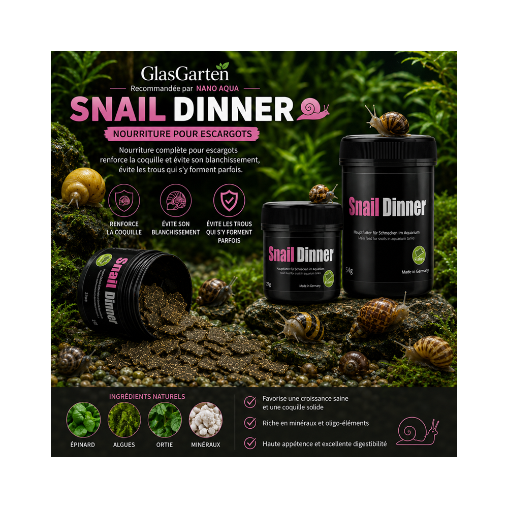 GLASGARTEN SNAIL DINNER