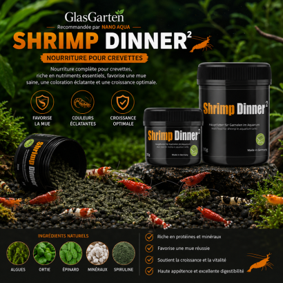 GLASGARTEN SHRIMP DINNER 2