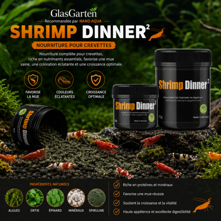 GLASGARTEN SHRIMP DINNER 2