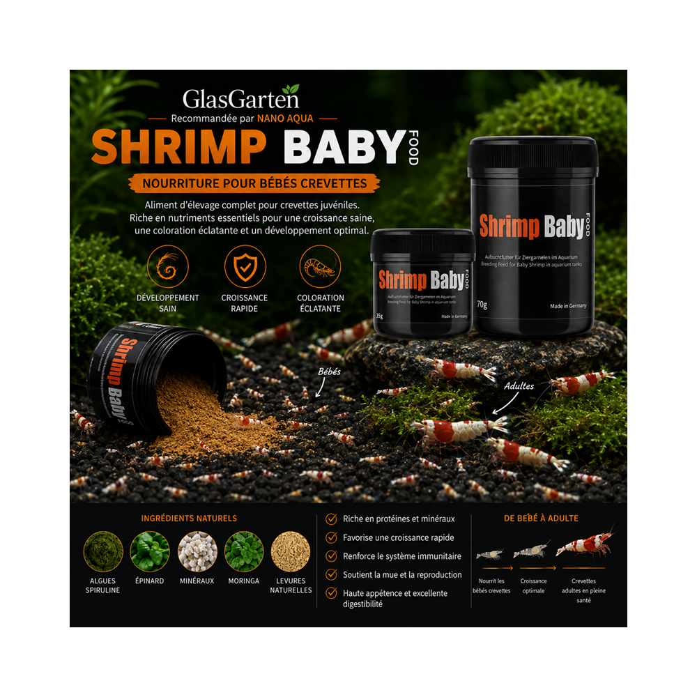 GLASGARTEN SHRIMP BABY FOOD