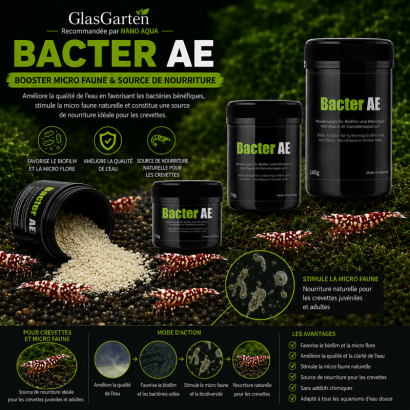 GLASGARTEN BACTER AE