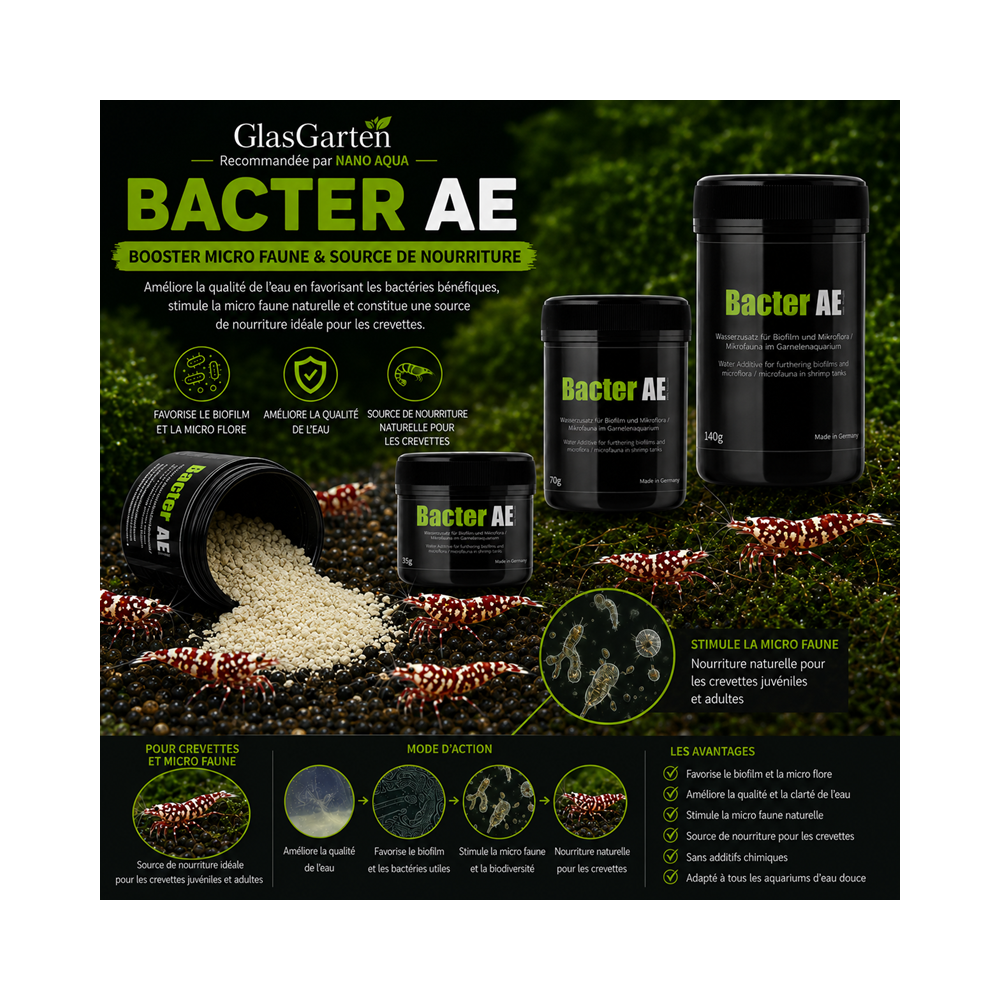 GLASGARTEN BACTER AE