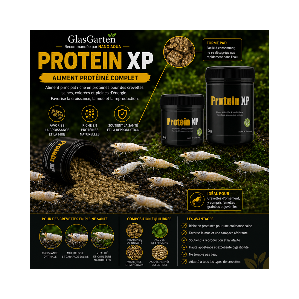 GLASGARTEN PROTEIN XP