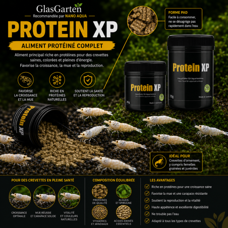 GLASGARTEN PROTEIN XP