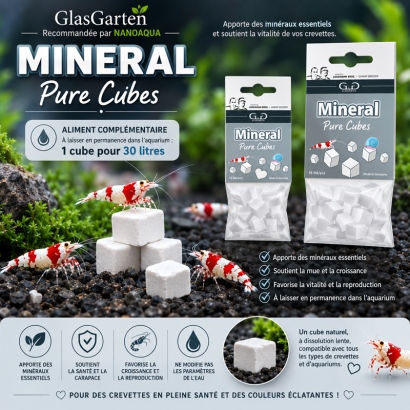GLASGARTEN MINERAL PURE CUBES