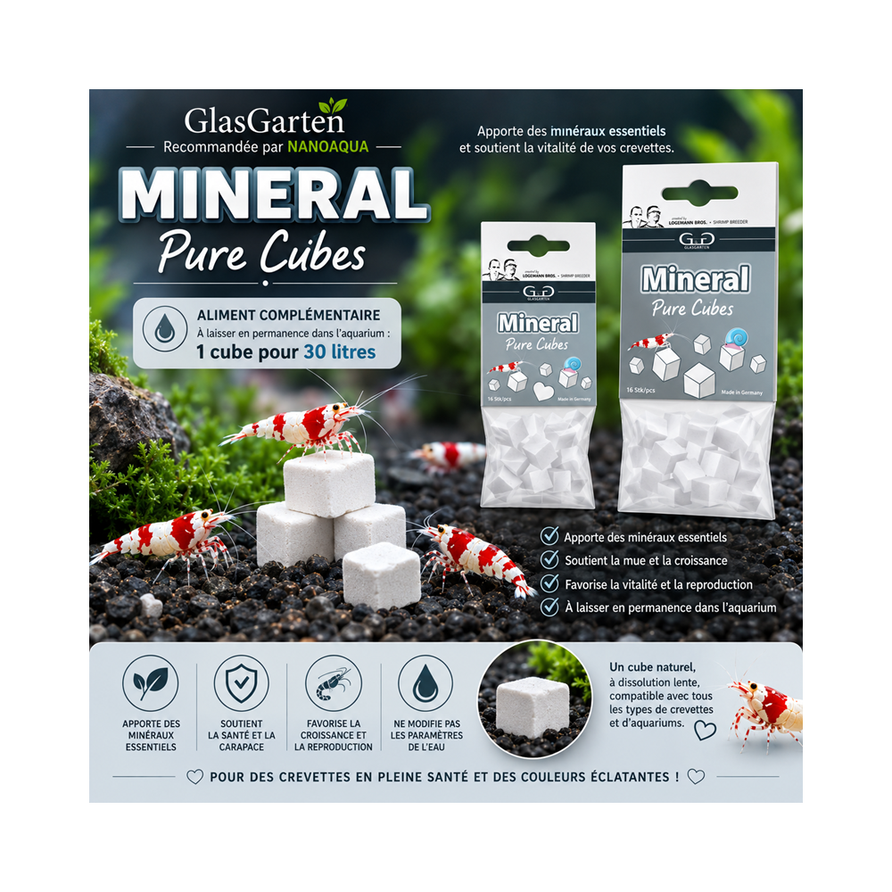 GLASGARTEN MINERAL PURE CUBES