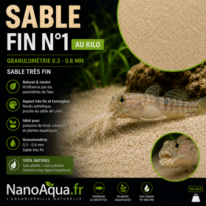 SABLE FIN N°1 / 0.3-0.6mm