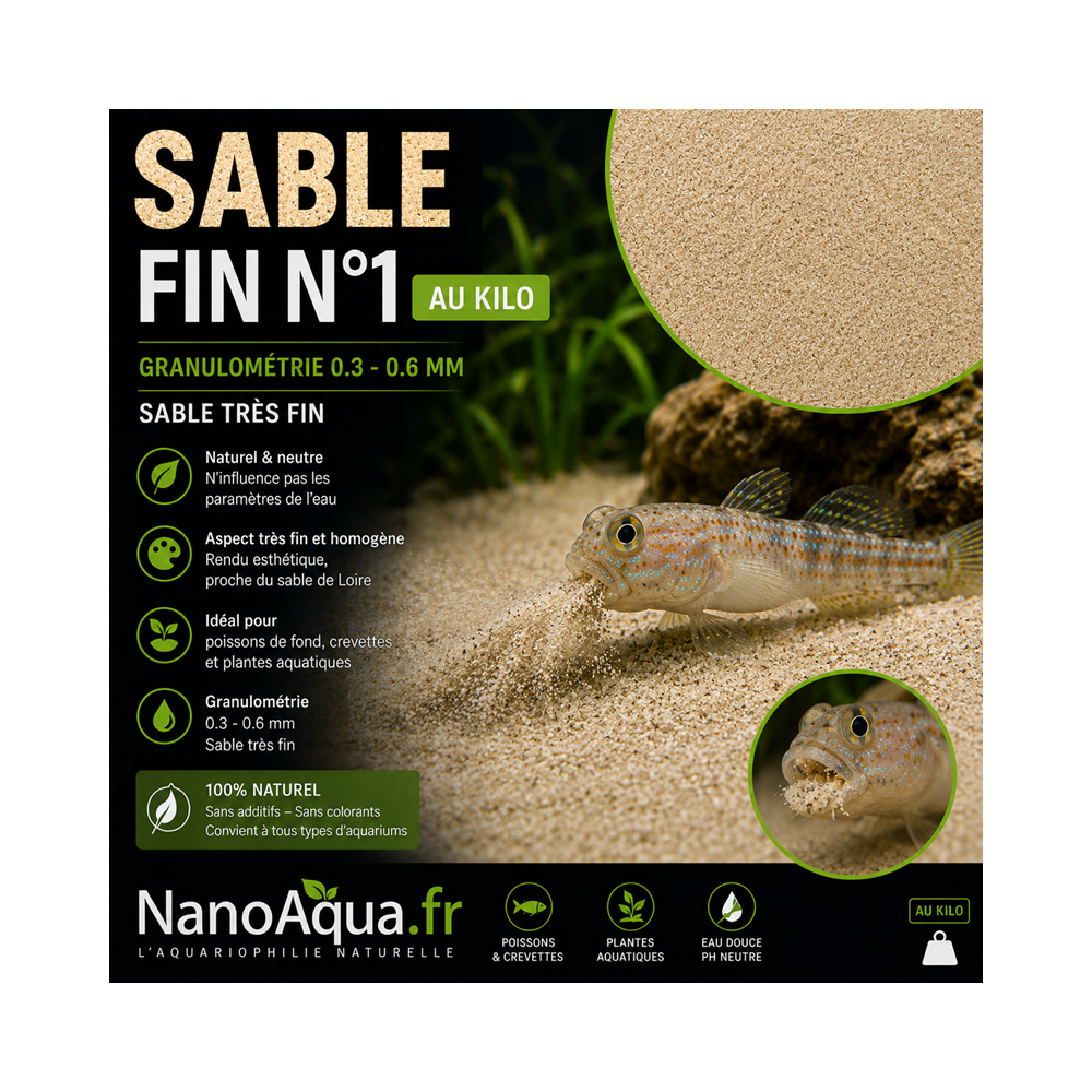 SABLE FIN N°1 / 0.3-0.6mm