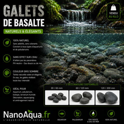 GALETS DE BASALTE LISSE ET IRREGULIERS EN FORME