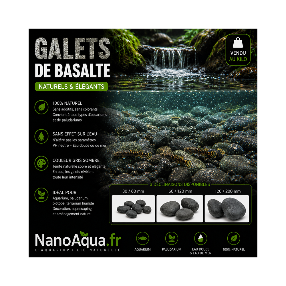 GALETS DE BASALTE LISSE ET IRREGULIERS EN FORME