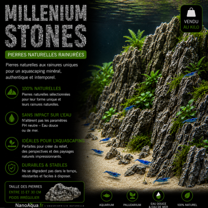 MILLENIUM STONE