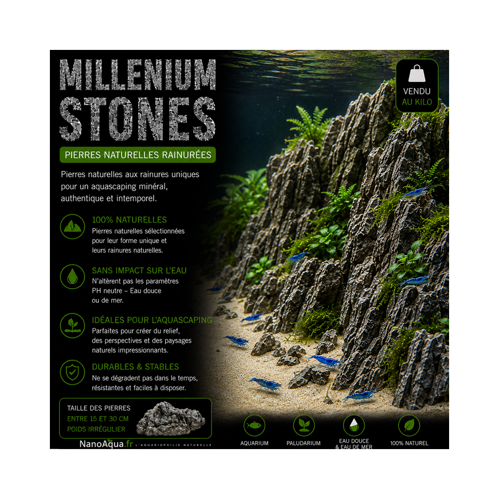 MILLENIUM STONE