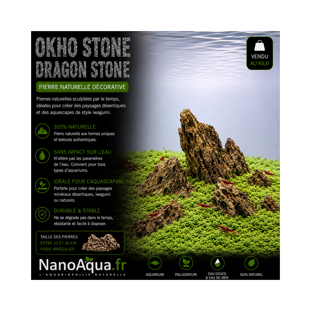 Pierre Okho stone / dragon stone aquarium au kilo