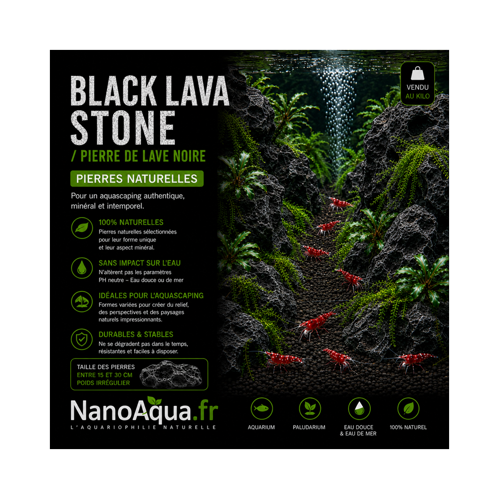 BLACK LAVA STONE / PIERRE DE LAVE NOIRE