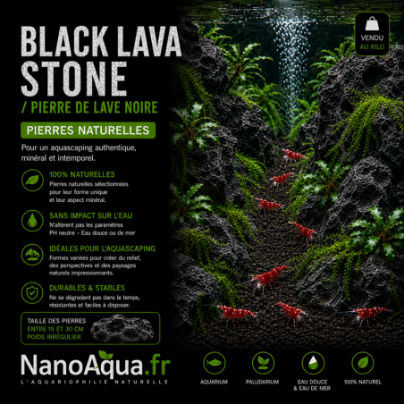 BLACK LAVA STONE / PIERRE DE LAVE NOIRE