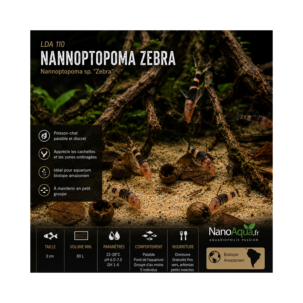 LDA 110 NANNOPTOPOMA ZEBRA ROBOCOP