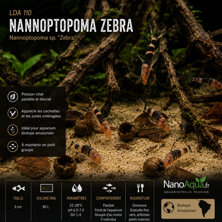 NANNOPTOPOMA ZEBRA / LDA 110 ROBOCOP