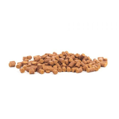 GLASGARTEN SHRIMP SNACKS ARTEMIA