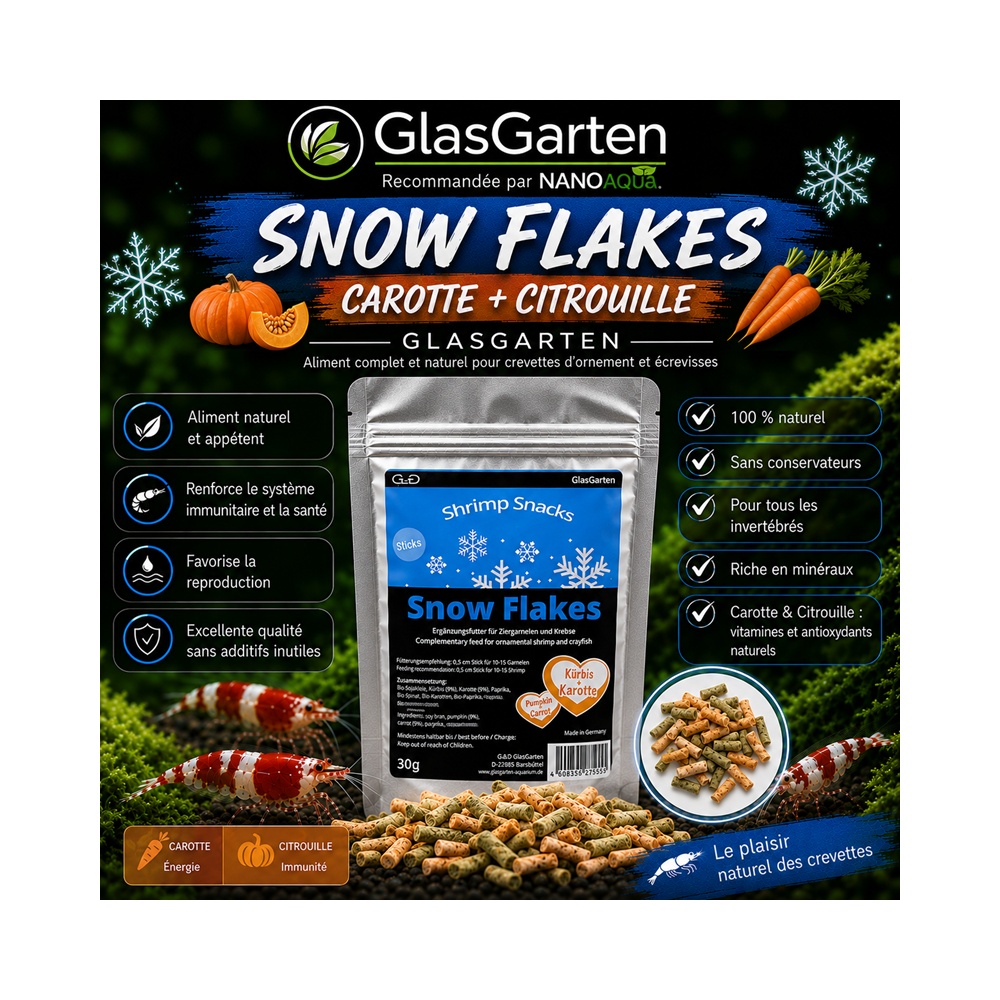 GLASGARTEN SNOW FLAKES CAROTTE + CITROUILLE