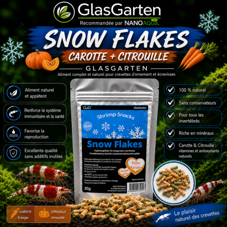 GLASGARTEN SNOW FLAKES CAROTTE + CITROUILLE