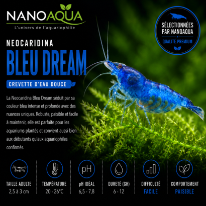 NEOCARIDIN BLEU DREAM