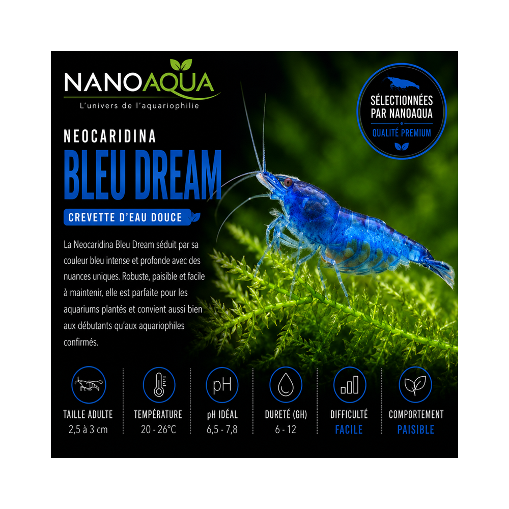NEOCARIDIN BLEU DREAM