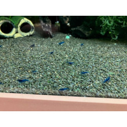 BASALTE CONCASSE 1 à 2mm