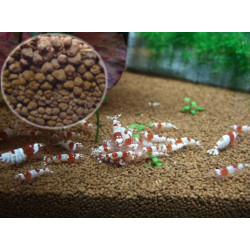 EBI GOLD PLANT BROWN SOIL 5KG