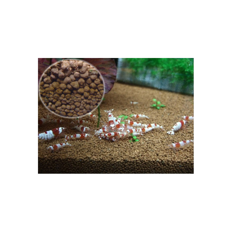 EBI GOLD PLANT BROWN SOIL 5KG