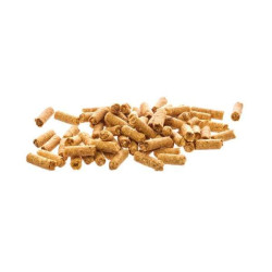 GLASGARTEN SNOW FLAKES CAROTTE + CITROUILLE